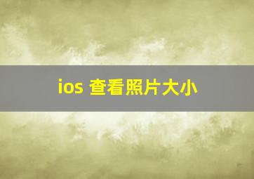 ios 查看照片大小